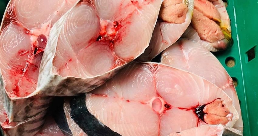Mẹo chọn cá tầm ngon để nấu canh