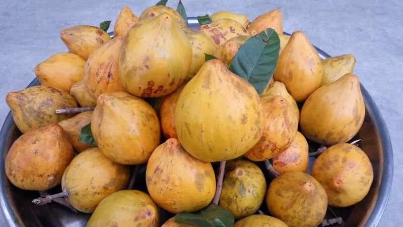 Mẹo chọn mua lê ki ma tươi ngon và chất lượng