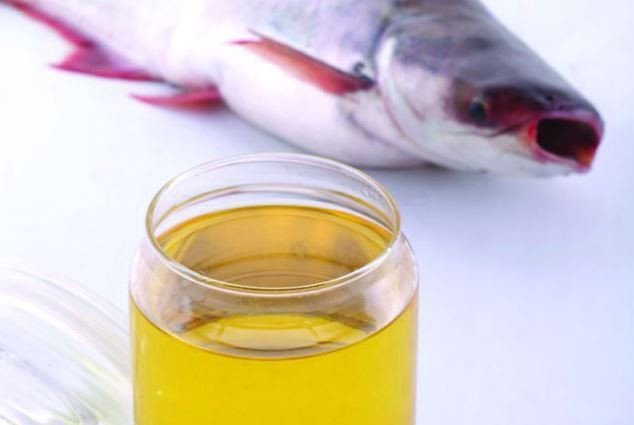 Mỡ Cá Bao Nhiêu Calo? Lợi Ích & Cách Ăn Chuẩn Sức Khỏe Miếng mỡ cá tươi ngon giàu dinh dưỡng cho bữa ăn