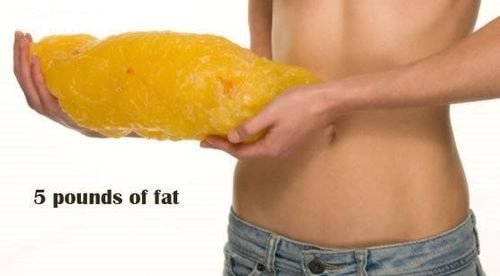 Mô hình 5 pound mỡ cơ thể