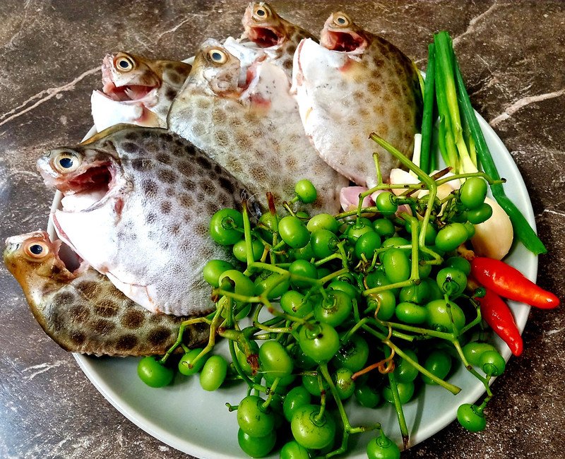 Món ăn từ cá nâu tươi ngon, giàu dinh dưỡng và dễ chế biến