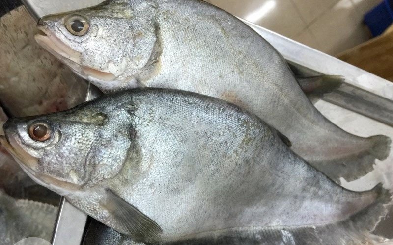 Món canh cá thác lác bổ dưỡng