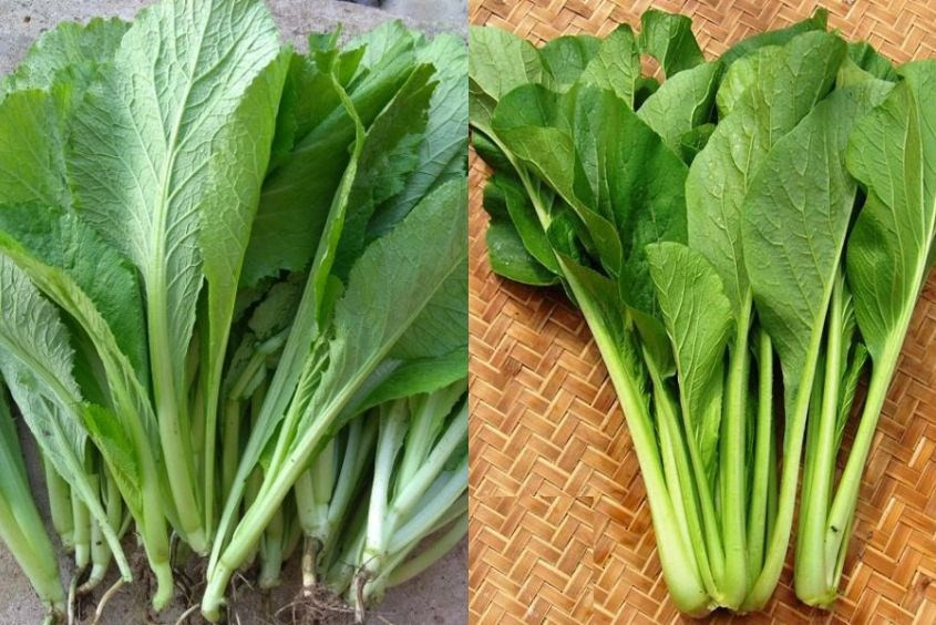 Món cháo sò huyết rau củ thơm ngon cho bé