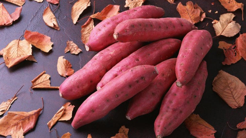 Một củ khoai lang màu cam trên thớt gỗ