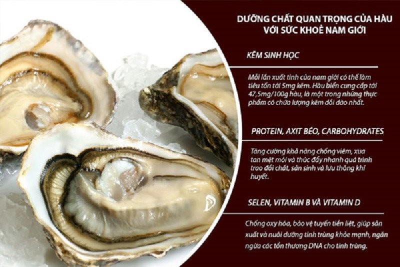 Một số lợi ích của hàu đối với sức khỏe bao gồm tăng cường miễn dịch và xương khớp