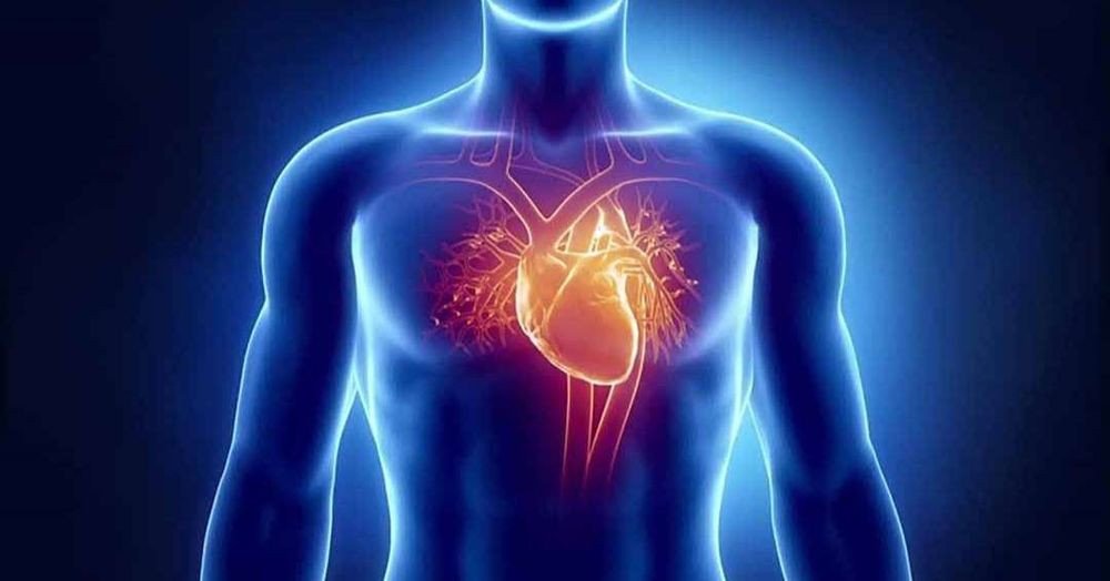 Mướp đắng hỗ trợ sức khỏe tim mạch, giúp giảm nguy cơ bệnh lý