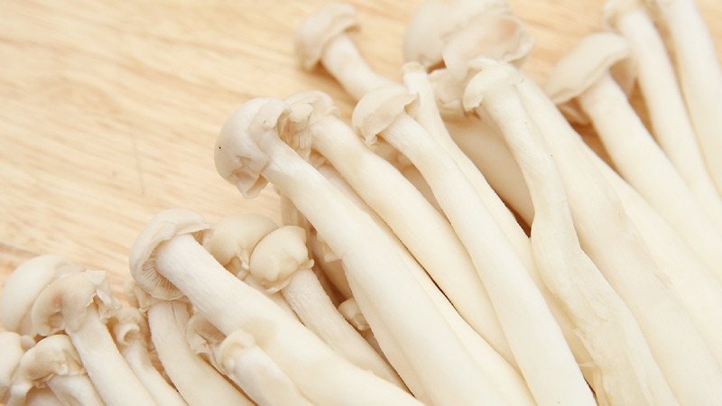 Nấm bạch tuyết có giá trị dinh dưỡng cao