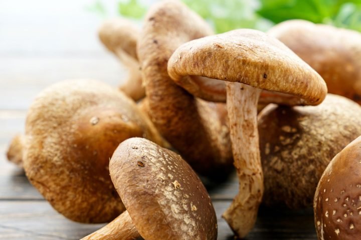 Nấm hương tươi chứa nhiều dưỡng chất và calo trong nấm hương rất thấp, lý tưởng cho chế độ ăn lành mạnh.