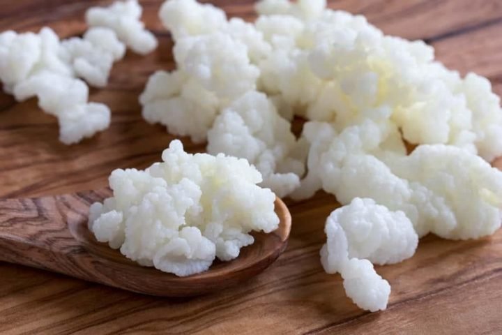 Nấm kefir và ly sữa chua kefir tươi ngon