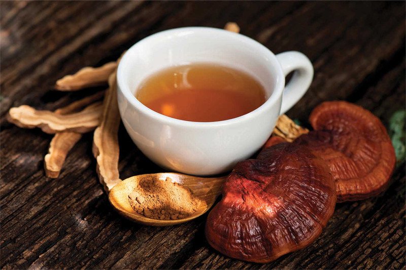 Nấm lim xanh khô ngâm rượu, một phương pháp bảo quản và sử dụng khác