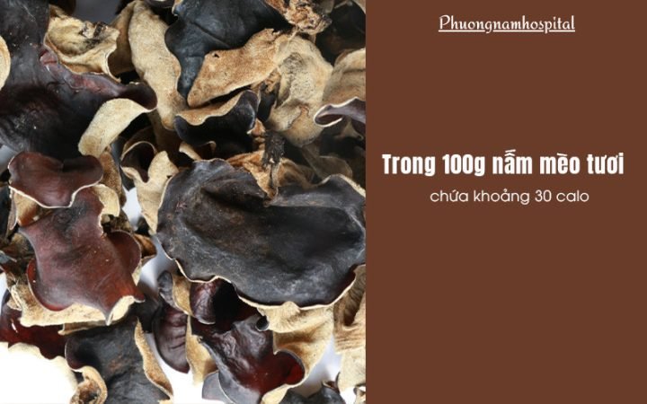 Nấm mèo tươi bao nhiêu calo