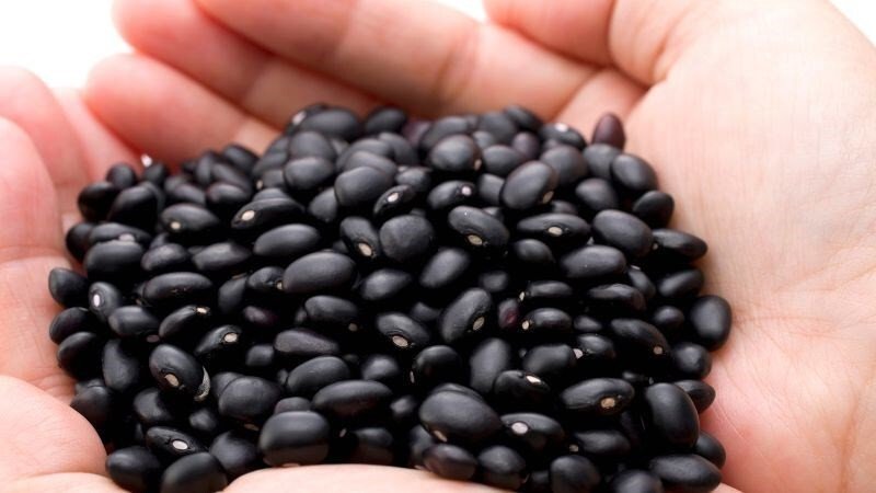 Nên lựa chọn hạt đỗ đen chất lượng tốt