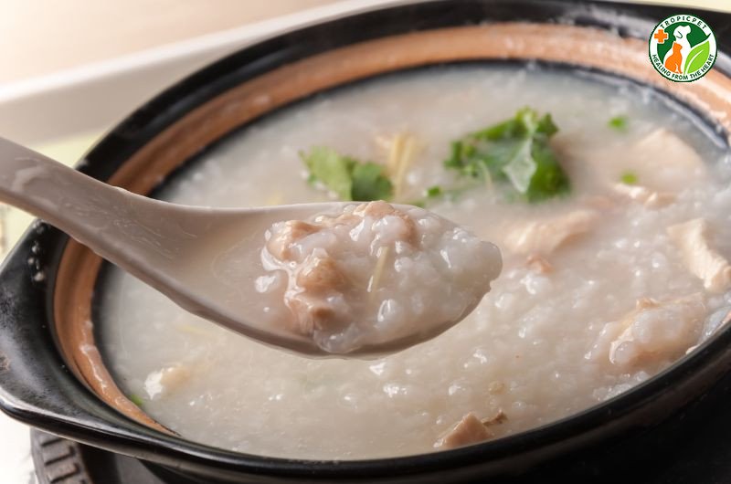 Nên xay nhuyễn cháo để chó con dễ ăn hơn