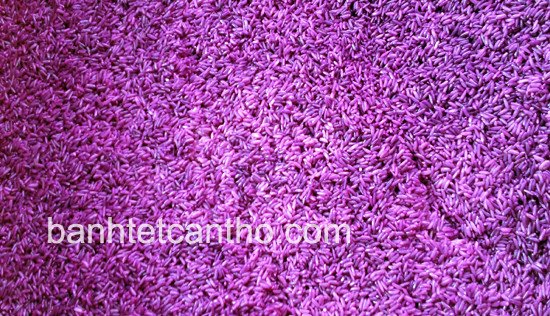 Nếp ngâm lá cẩm