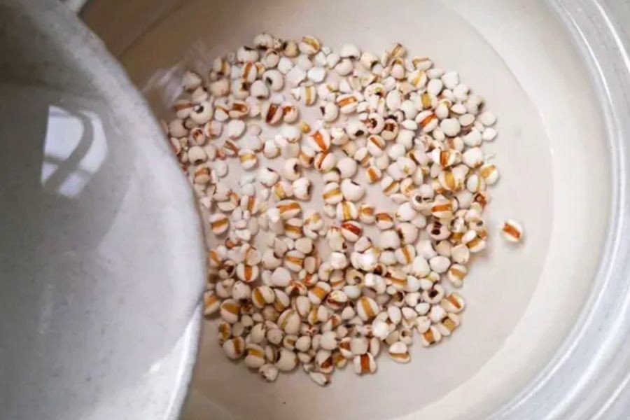 Ngâm hạt bo bo chuẩn bị nấu sâm bổ lượng