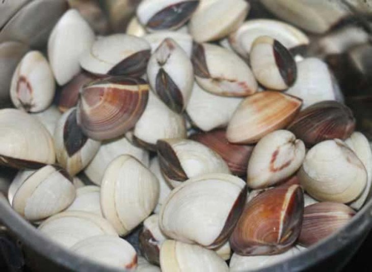 Ngao tươi ngon ngâm ớt để nhả cát