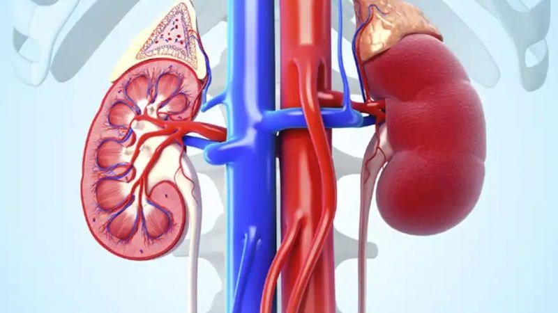 Người bị bệnh thận cần hạn chế ăn trứng gà