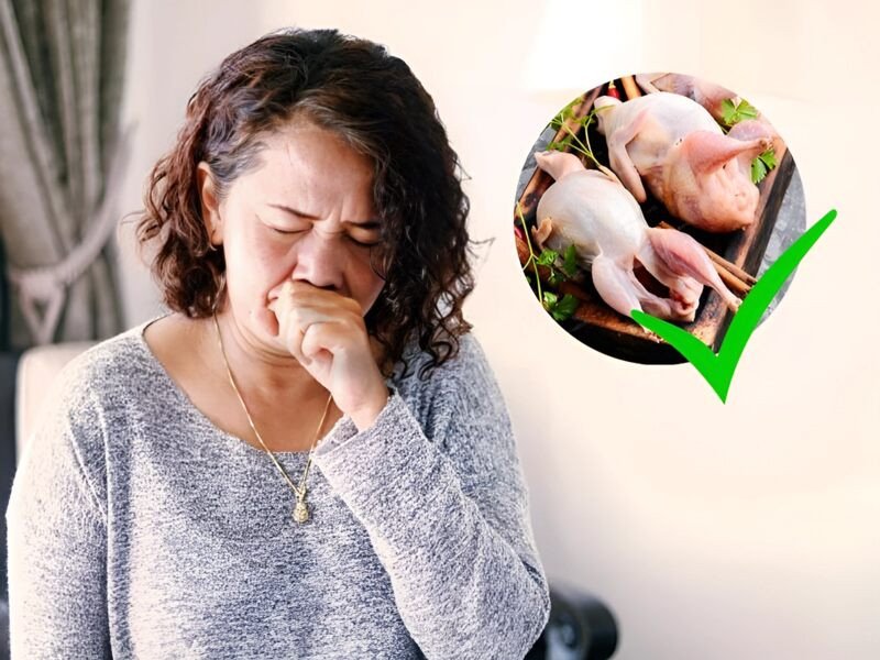 Người bị ho có ăn được cháo chim bồ câu không?
