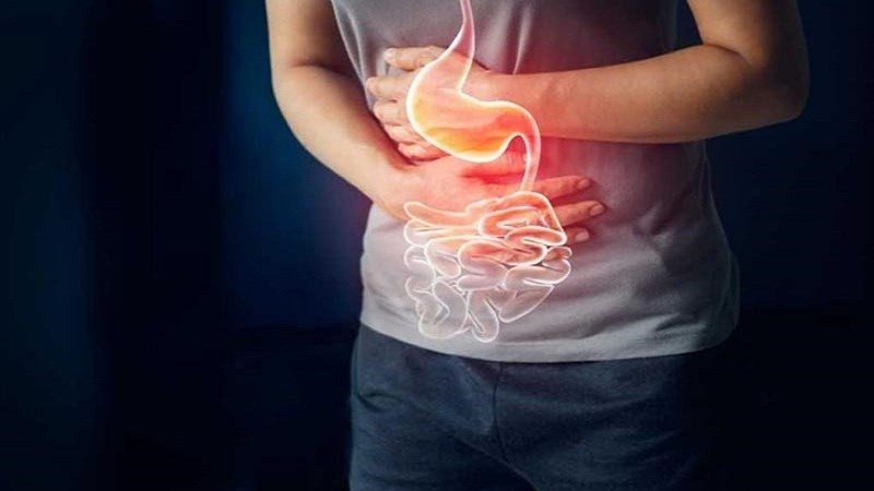 Người có hệ tiêu hóa yếu không nên sử dụng đỗ đen nhiều