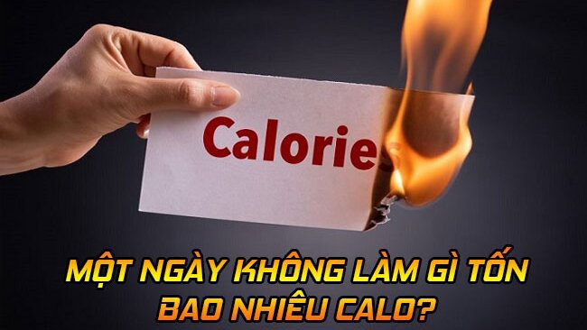Người phụ nữ cân đo thực phẩm để tính calo tiêu thụ hàng ngày