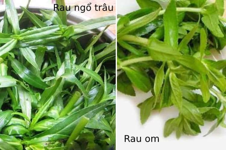 Người phụ nữ cẩn thận rửa sạch bó rau ngổ dưới vòi nước, minh họa lưu ý vệ sinh khi chế biến nước rau ngổ