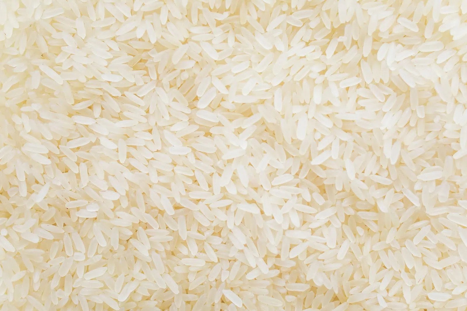 Người phụ nữ đang cân nhắc lượng cơm trắng để kiểm soát cân nặng