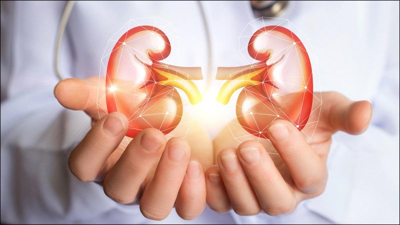 Người sỏi thận có nên ăn đu đủ xào không, đu đủ xào bao nhiêu calo