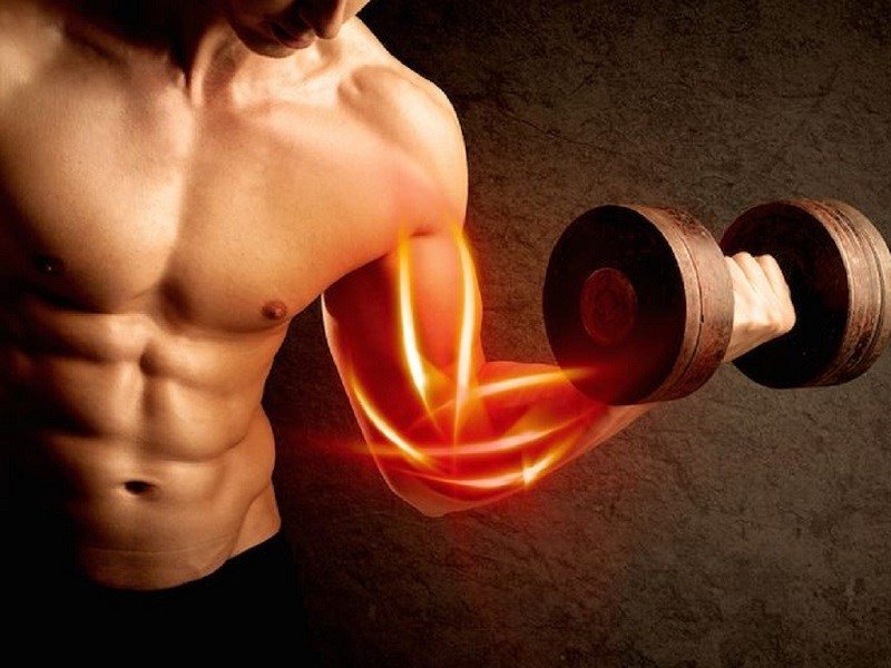 Người tập gym đang nâng tạ, minh họa lợi ích của protein trong 200g thịt heo giúp duy trì cơ bắp