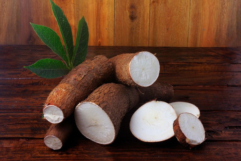 Nguyên liệu chính của món bánh tằm khoai mì là củ khoai mì tươi
