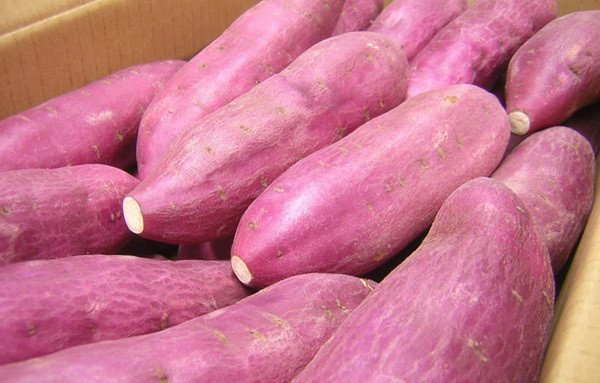 Nguyên liệu chính làm bánh khoai lang chiên giòn chuẩn vị