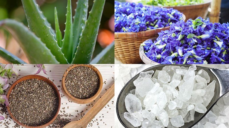 Nguyên liệu chuẩn bị cho nha đam hạt chia hoa đậu biếc