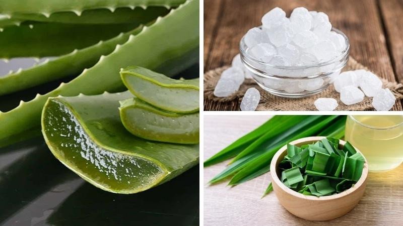 Nguyên liệu chuẩn bị để nấu nha đam đường phèn lá dứa