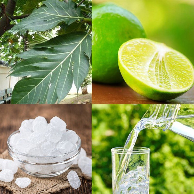 Nguyên liệu chuẩn bị để nấu nước lá sake bao gồm lá sake, đường phèn và chanh