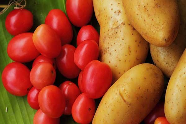 Nguyên liệu khoai tây và cà chua tươi ngon