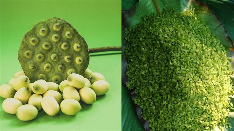 Nguyên liệu nấu chè cốm hạt sen