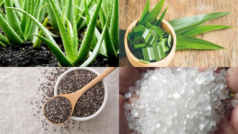 Nguyên liệu nấu nha đam hạt chia đường phèn