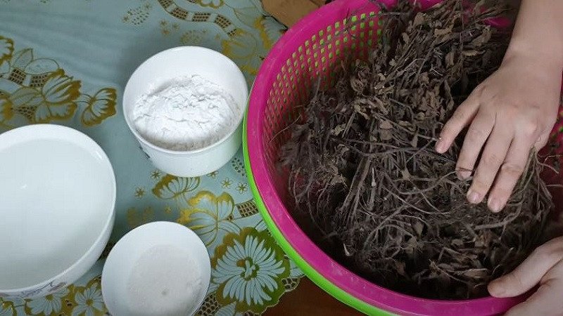 Nguyên liệu thạch đen tự nhiên từ lá sương sáo khô