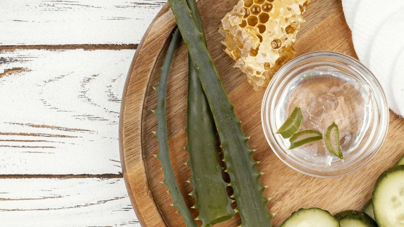 Nguyên liệu tự nhiên làm nước yến nha đam ít calo tại nhà