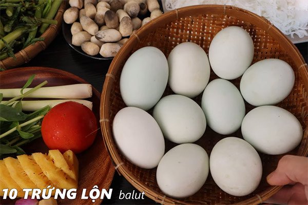 Nguyên liệu tươi ngon cho lẩu hột vịt lộn mồng tơi