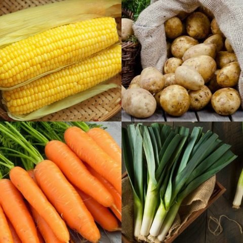 Nguyên liệu tươi ngon cho món canh chay rau củ