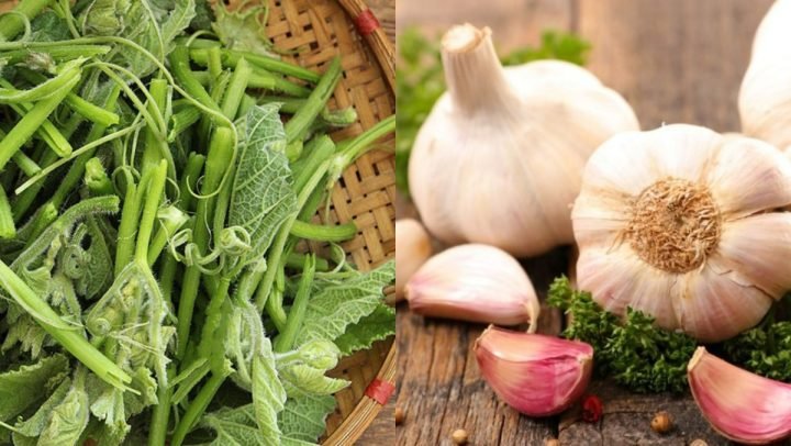 Cách Xào Ngọn Bí: Bí Quyết Chế Biến Món Ngon Đậm Đà Nguyên liệu tươi ngon cho món ngọn bí xào tỏi