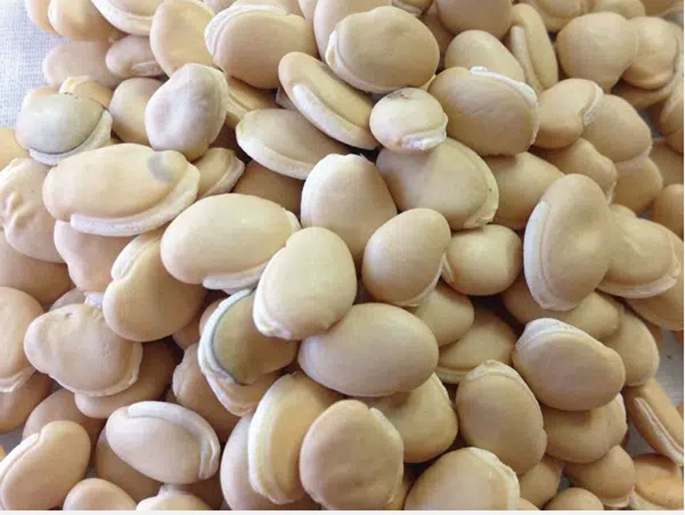 Nguyên liệu tươi ngon để nấu chè đậu ván tại nhà, gồm hạt đậu ván, dừa nạo và sữa.