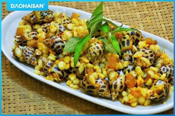 Nhiều ốc hương tươi ngon trong bát