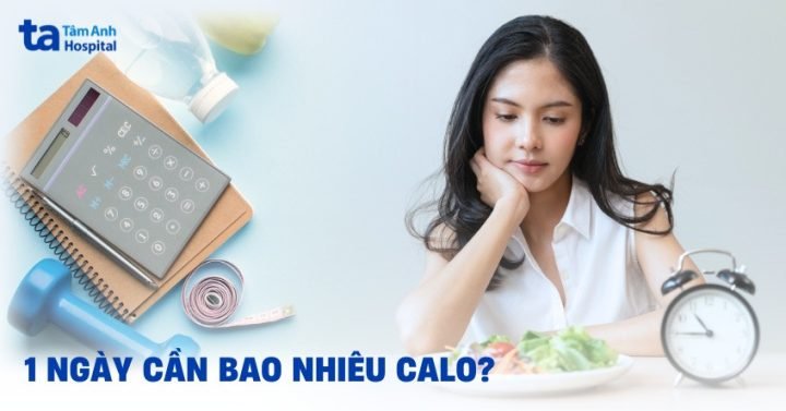 Nhu cầu calo hàng ngày của một người lớn