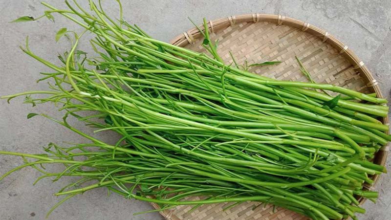 Những điều cần lưu ý khi sử dụng rau muống để đảm bảo sức khỏe