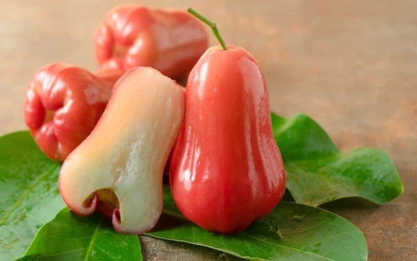 Những trái quả roi đỏ tươi mọng nước, giàu dưỡng chất thiết yếu.