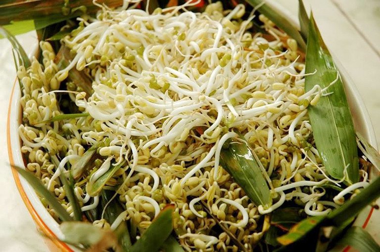 Nước ép giá đỗ tươi nguyên chất dễ uống giúp giảm ho