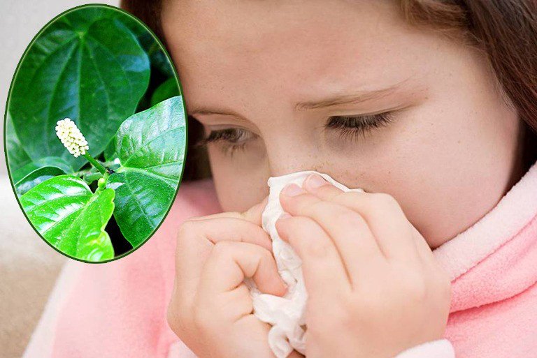 Nước lá lốt gừng nghệ ấm nóng