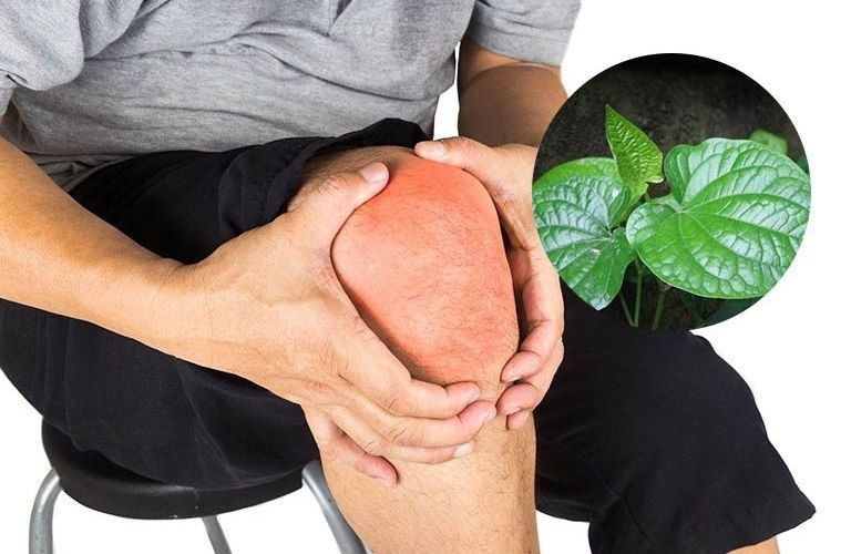 Nước lá lốt gừng nghệ giảm đau khớp