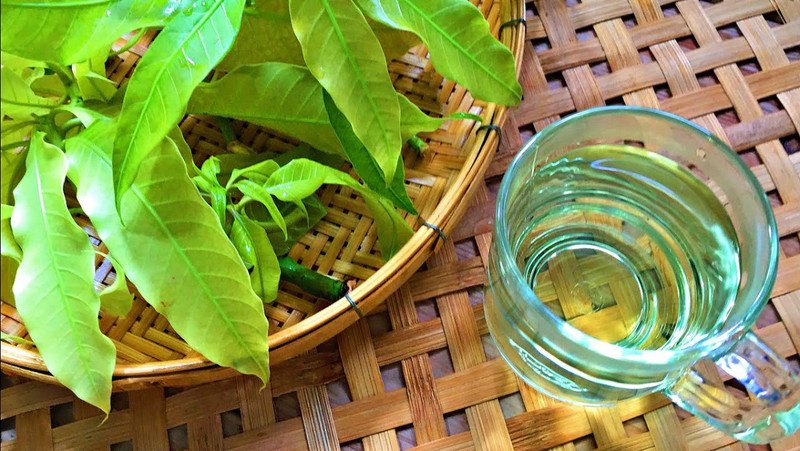 Nước lá xoài non kiểm soát đường huyết hiệu quả